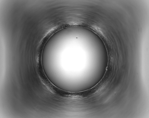 X0000086900539200704301019