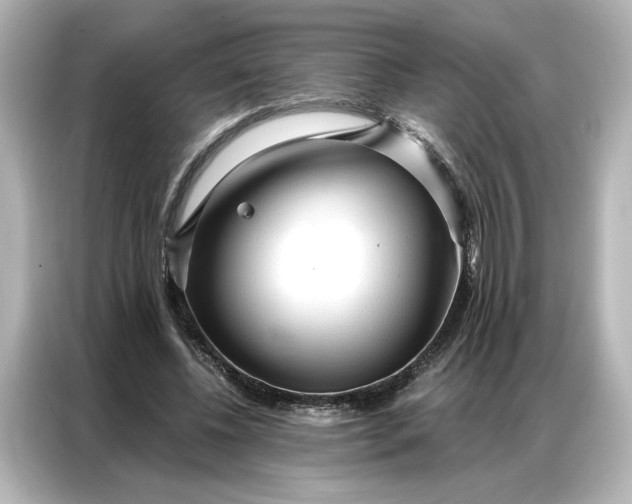 X0000086900540200704301019