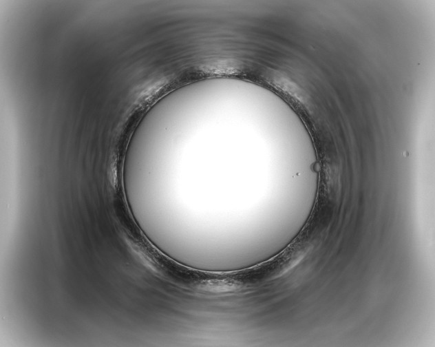 X0000086900541200704301019