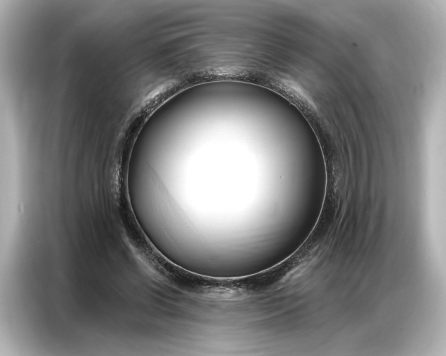 X0000086900542200704301019