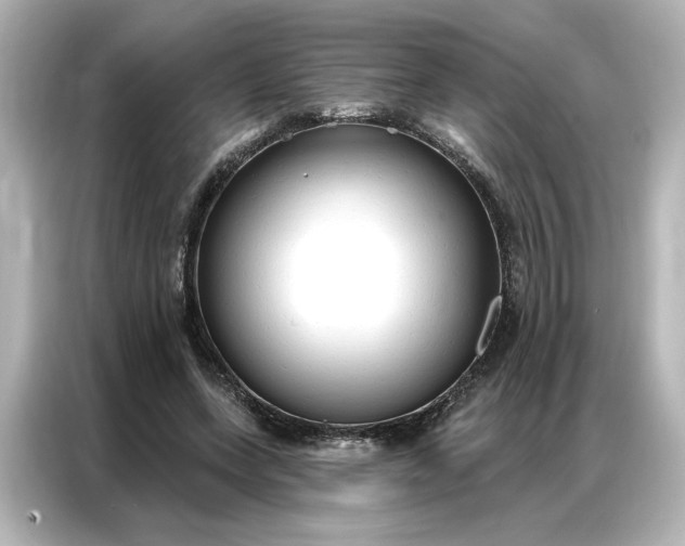 X0000086900543200704301019