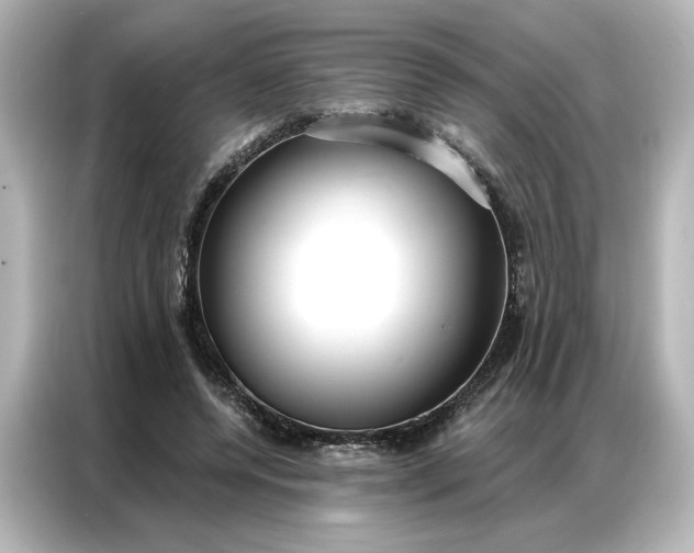 X0000086900544200704301019