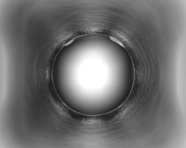 X0000086900546200704301019