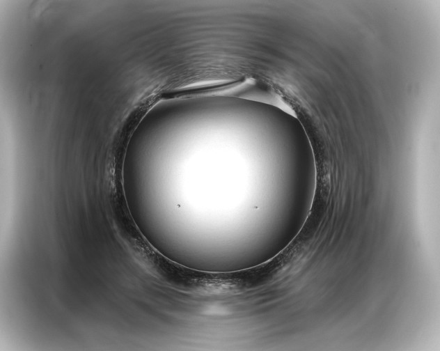 X0000086900547200704301019