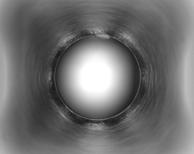 X0000086900548200704301019