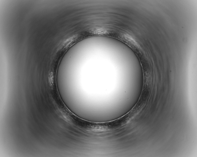 X0000086900549200704301019