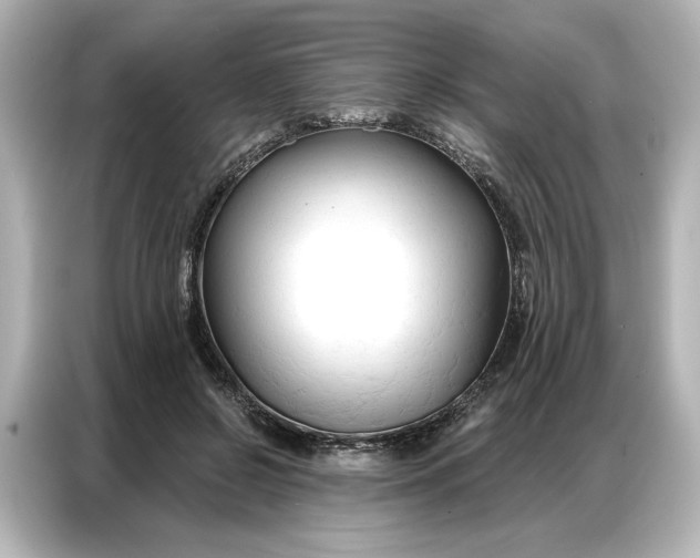 X0000086900550200704301019