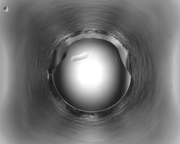 X0000086900552200704301019