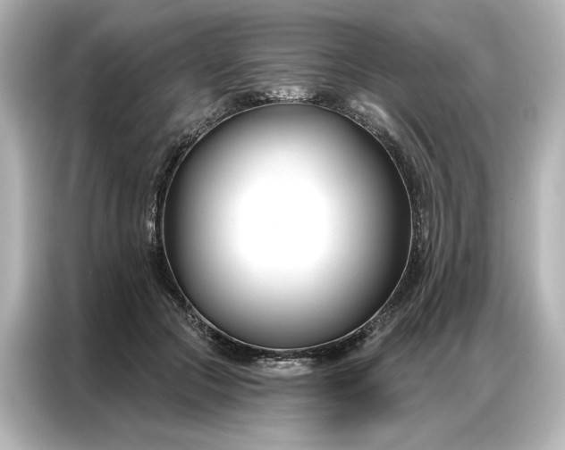 X0000086900553200704301019