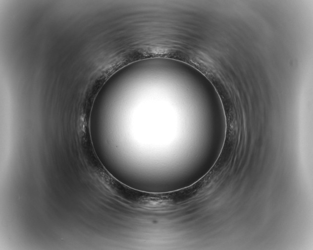 X0000086900555200704301019