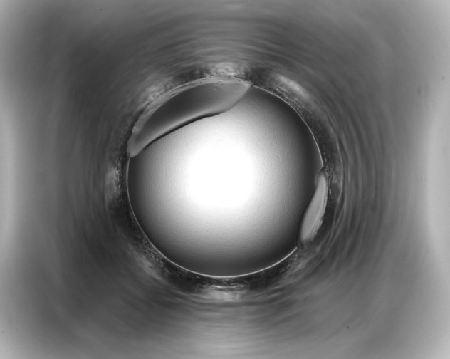 X0000086900556200704301019