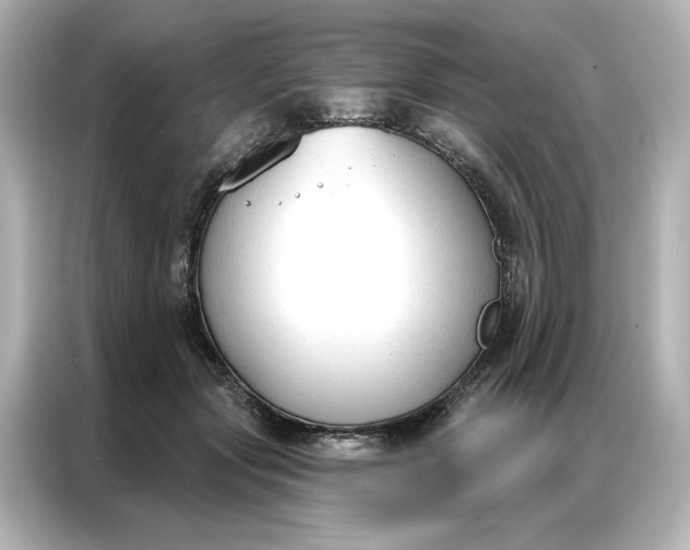 X0000086900557200704301019