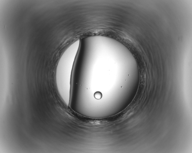 X0000086900558200704301019