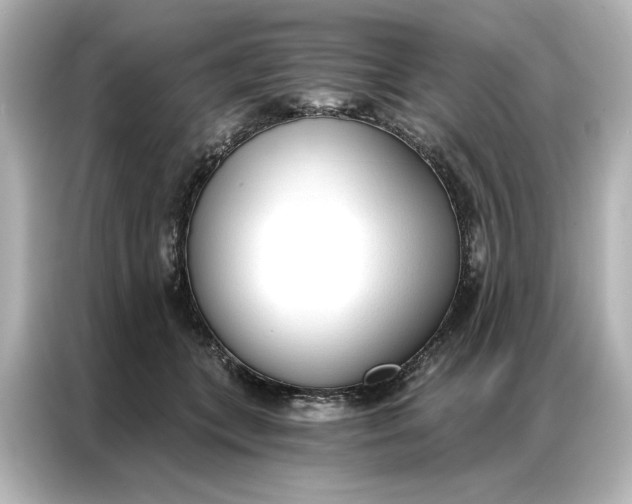 X0000086900559200704301019