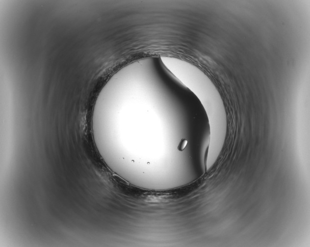 X0000086900560200704301019