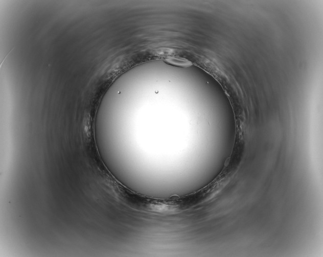 X0000086900561200704301019