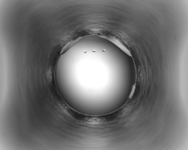 X0000086900562200704301019