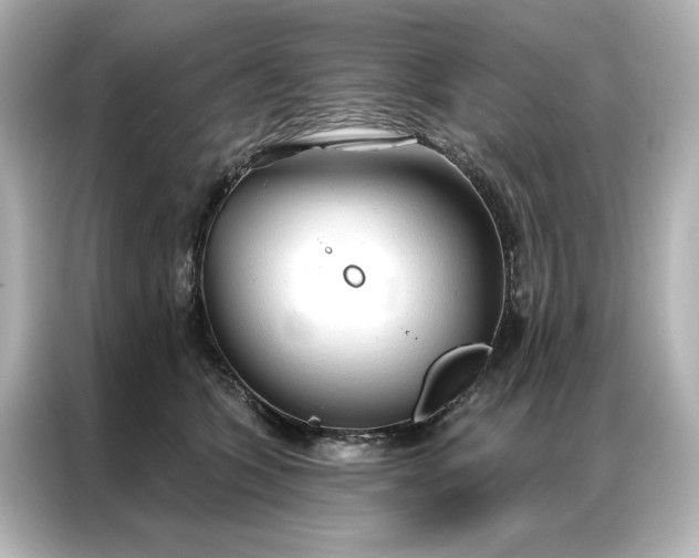 X0000086900563200704301019