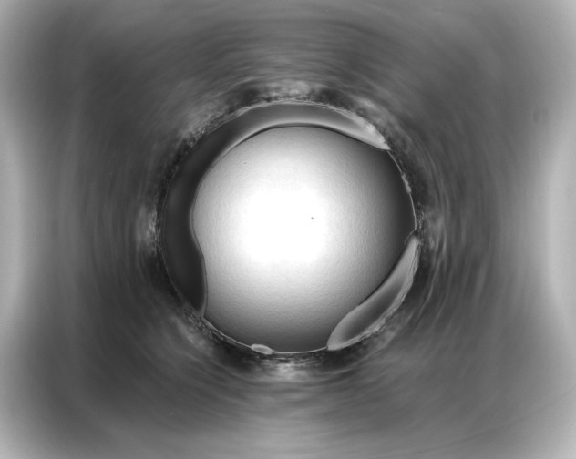 X0000086900564200704301019