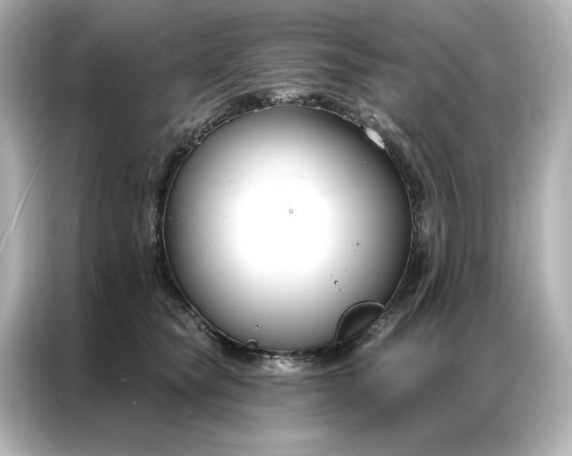 X0000086900565200704301019