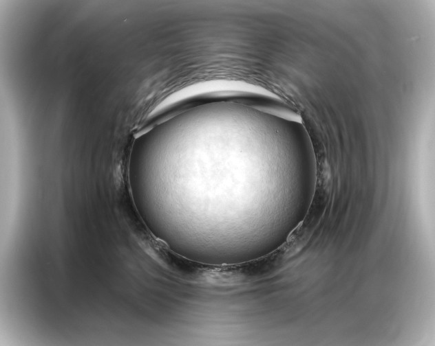 X0000086900568200704301019