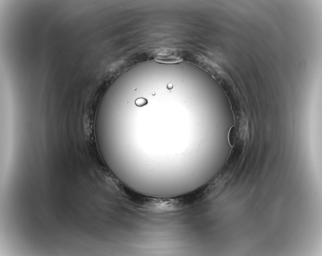 X0000086900569200704301019