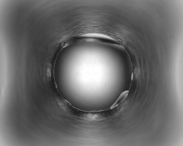 X0000086900570200704301019