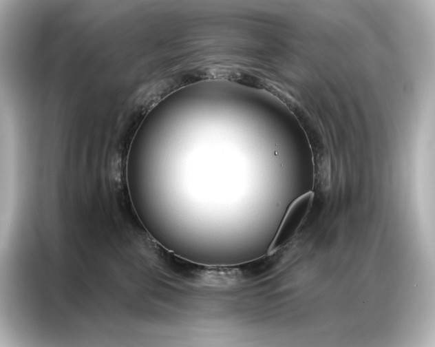 X0000086900571200704301019