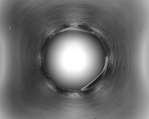 X0000086900572200704301019