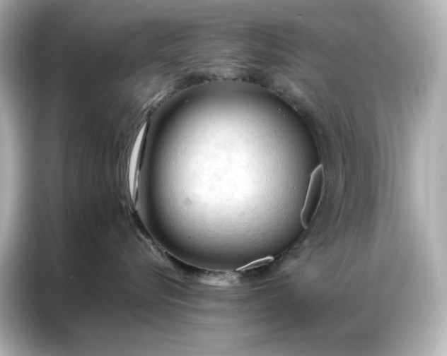 X0000086900576200704301019