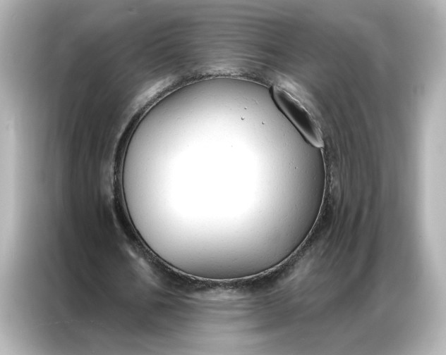 X0000086900578200704301019