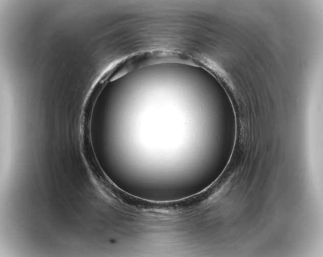 X0000086900580200704301019