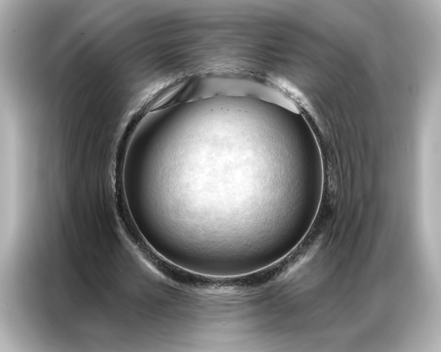 X0000086900581200704301019