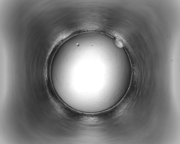 X0000086900582200704301019