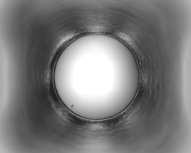 X0000086900583200704301019