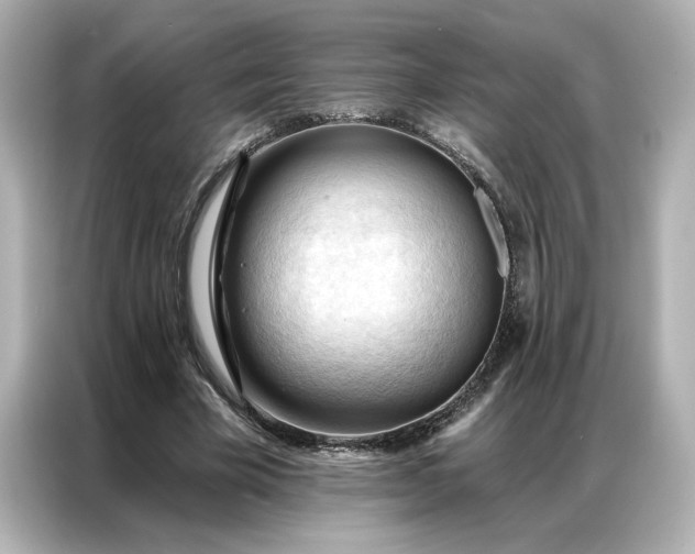 X0000086900585200704301019