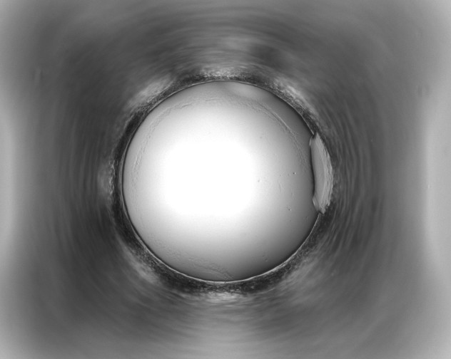 X0000086900586200704301019