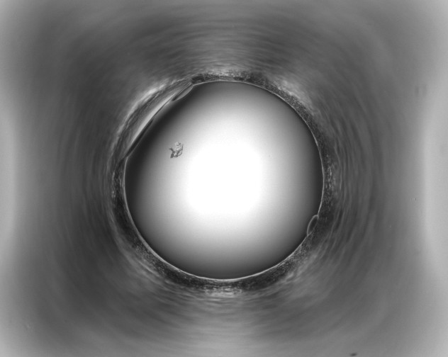 X0000086900587200704301019