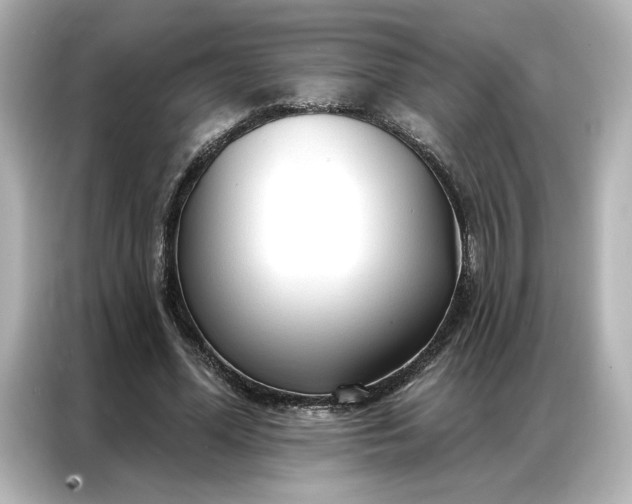 X0000086900588200704301019