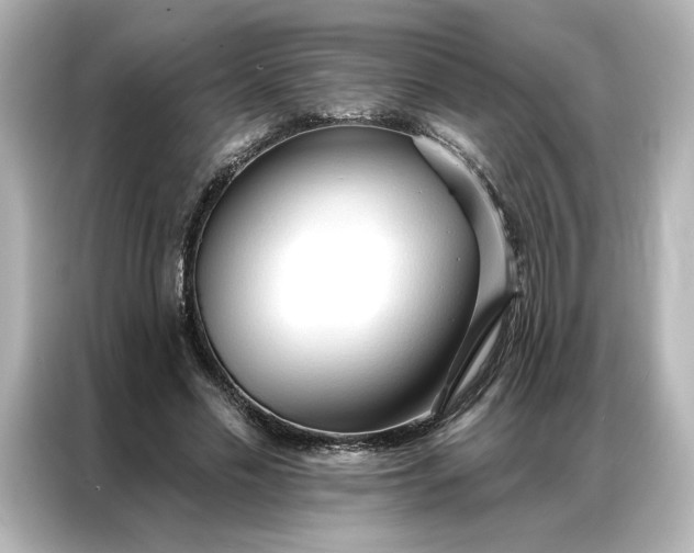 X0000086900589200704301019