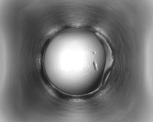 X0000086900590200704301019