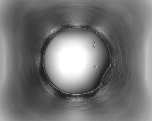 X0000086900591200704301018