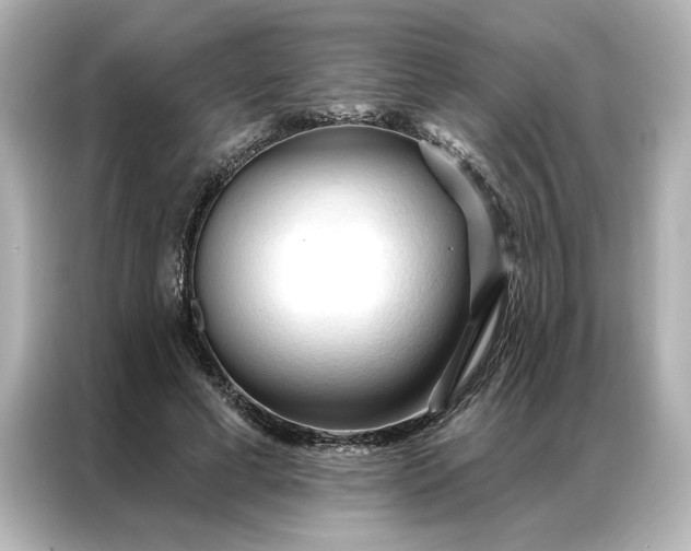 X0000086900593200704301018