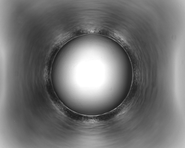 X0000086900594200704301018