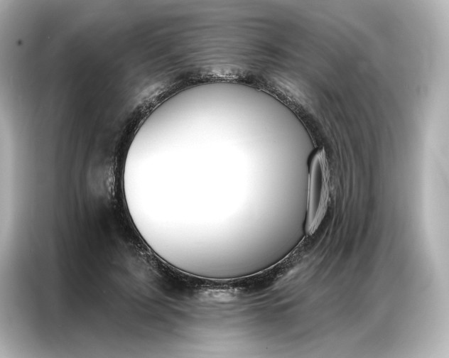 X0000086900595200704301018