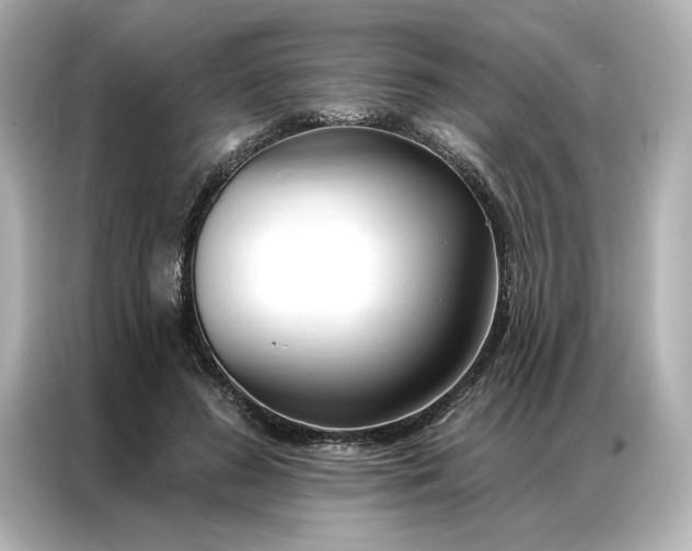 X0000086900596200704301018