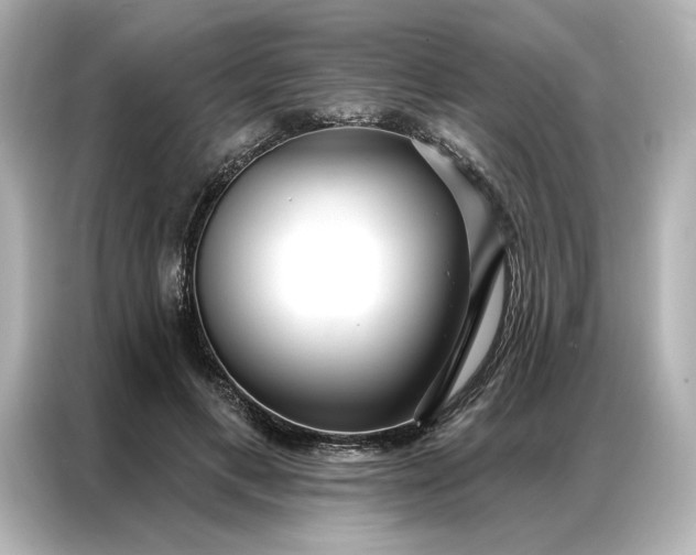 X0000086900597200704301018