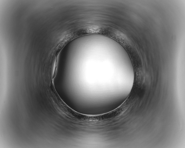 X0000086900598200704301018