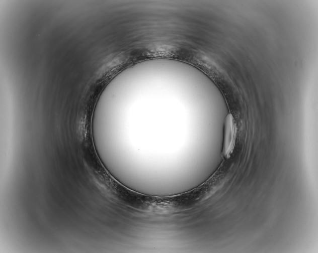 X0000086900599200704301018