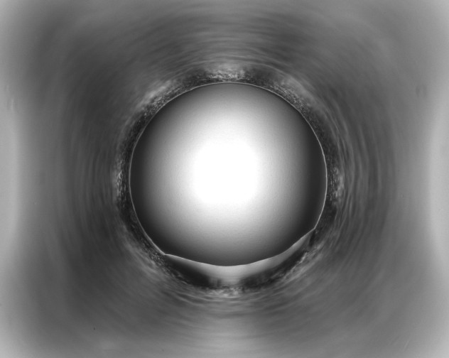 X0000086900600200704301018